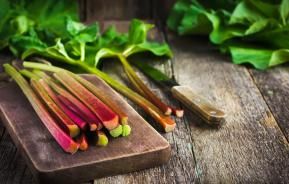 How to grow and care for rhubarb
