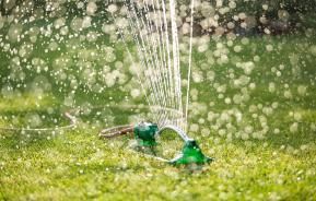 Watering your garden | David Domoney | Miracle-Gro