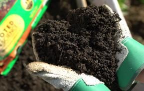 What to do with wet compost