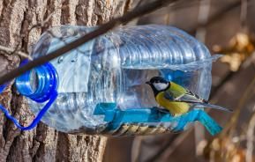 How to make a bird feeder using a waterbottle