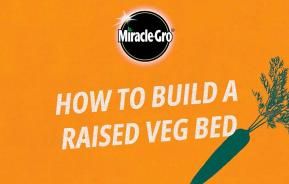 How to build a raised bed for growing your own veg