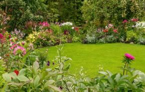 A neatly cut real grass lawn surrounded by borders full of colourful flowers 