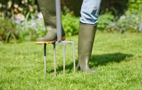 Close-up of gardener’s booted foot using garden fork to aerate lawn