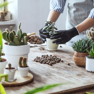 Corporate Sustainability Report 2021 | Evergreen Garden Care