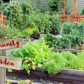 Cultivation Street | Nurturing the Community | Evergreen Garden Care