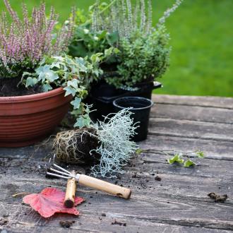 Getting your garden ready | David Domoney | Miracle Gro