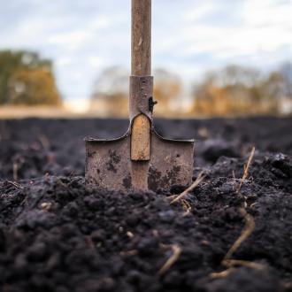 Enriching soil | Love The Garden | Miracle Gro