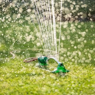 Watering your garden | David Domoney | Miracle Gro