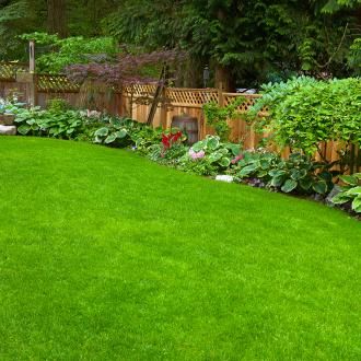 Feeding your lawn | David Domoney | Miracle-Gro