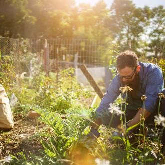 Why is gardening good | David Domoney | Miracle Gro