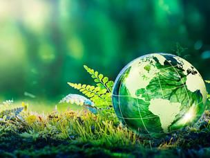 Grüne Welt auf Gras