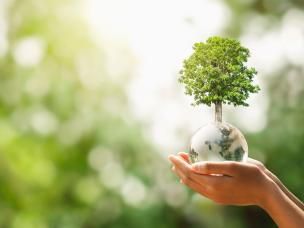 Baum steht auf Planet