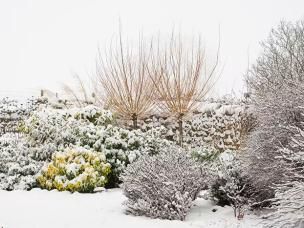 Comment entretenir son jardin en hiver