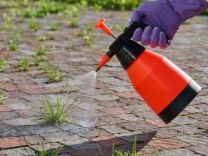 Roundup | La Pause Jardin