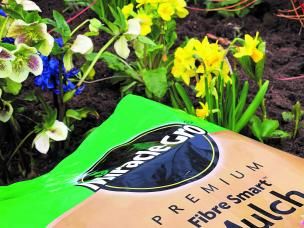 Making your own mulch in autumn