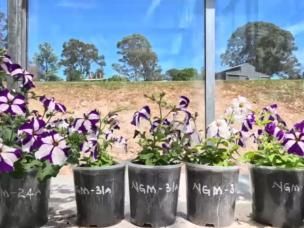 Our Best Potting Mix Yet 