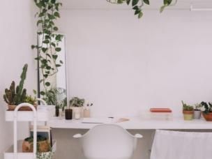 The 7 Best Air Purifying Plant For Your Home Or Office