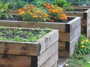 diy pallet garden