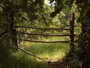 Creëer je eigen biotuin