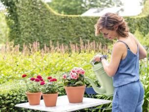 Stralende planten in huis, op het terras, in de tuin en moestuin