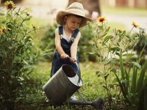tuin te verzorgen bij warm en droog weer