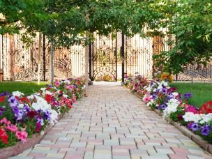 Sauberer Weg mit blühenden Gartenblumen