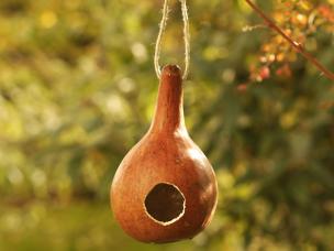 Bastelspaß mit Flaschenkürbissen