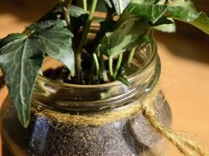 Dekorative Hängegläser