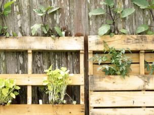 Der Paletten-Garten