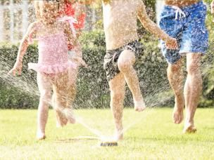 Gartenbewässerung im Sommer