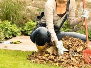 Die richtige Rasenpflege im Herbst