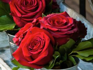 Blumen und ihre Bedeutung