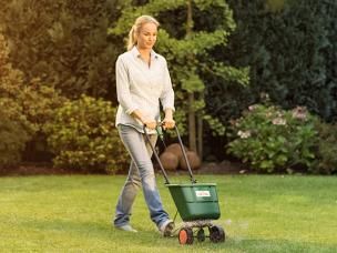 Rasendüngung – Gewusst wie