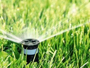 Rasensprenkler