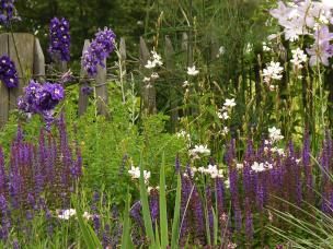  Sommerpflege für Blütenpflanzen