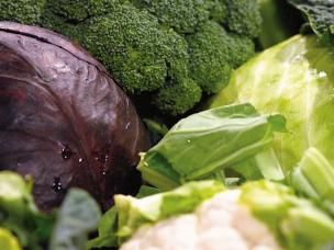 Wintergemüse ernten