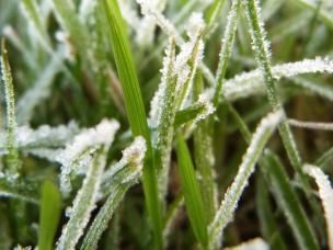 Rasenpflege in Herbst und Winter