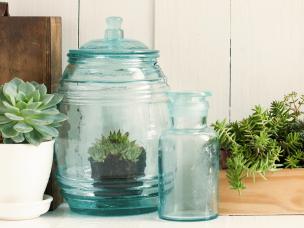 Zimmerpflanzen Pflege im Winter