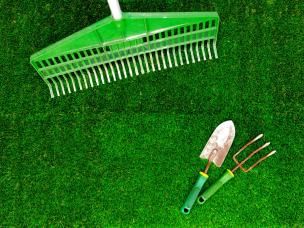 Zielony i gęsty trawnik z narzędziami ogrodniczymi