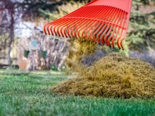 Pielęgnacja trawnika