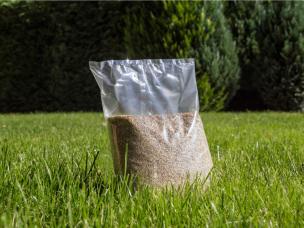 Zakładanie trawnika z nasion