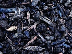 How to Make Soil Acidic