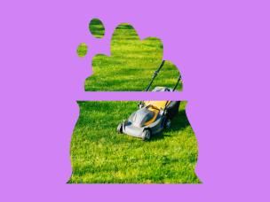 Aussie homeowner’s guide to a lush green lawn