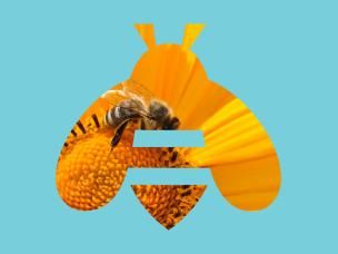 Why we need bees and pollinators in the garden