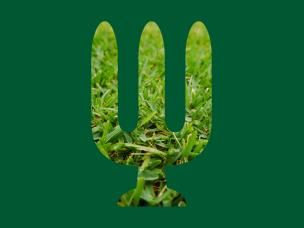 Weed, Feed & Green-Up