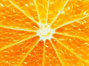 Essential Guide to Growing Citrus