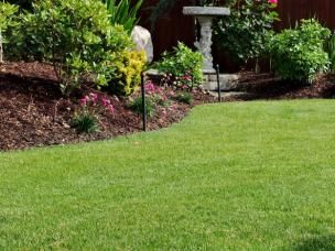 Een gezond, diepgroen en strak gemaaid gazon langs een border met planten en boomschors, het resultaat van goede gazonverzorging met Revolution Gazon.