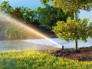 Hot Lawn 