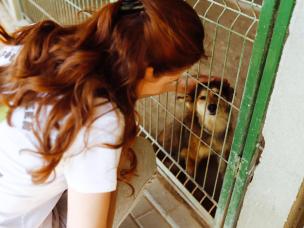 Zielona oaza dla naszych czworonogich przyjacieli