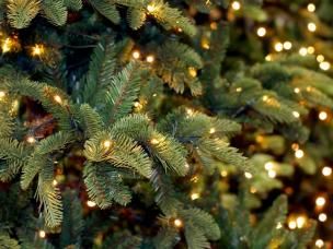 Kerstboom met lichtjes